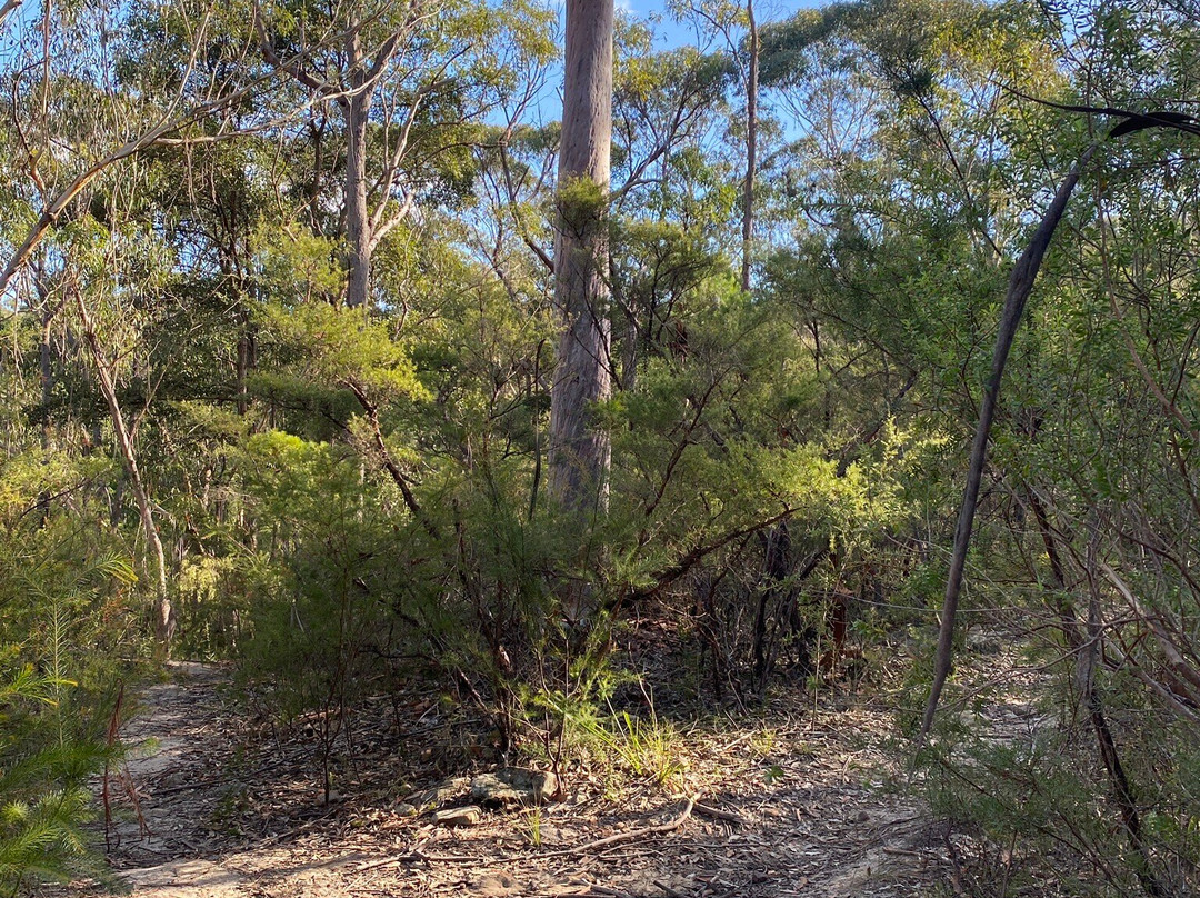 Duck Holes Walking Track-格兰布鲁克必去景点