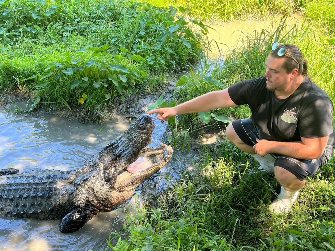 Zam's Bayou Swamp Tours景点图片