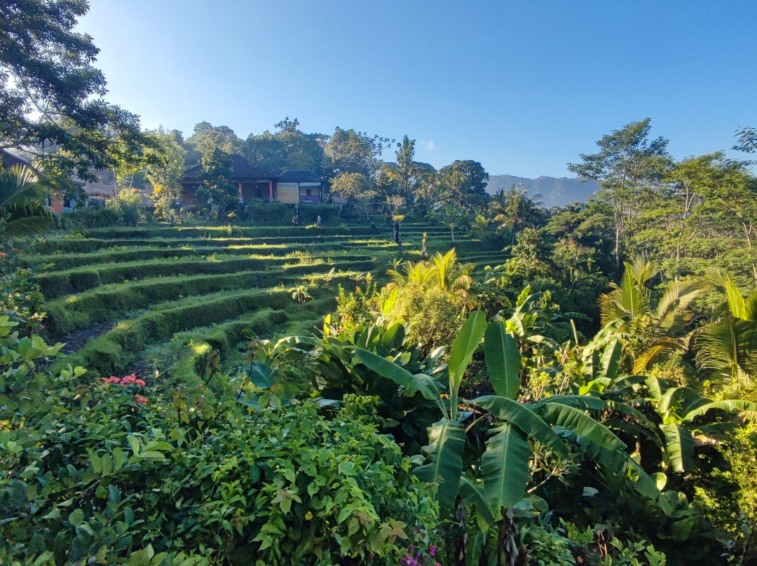 Subak Tabola Villa主图