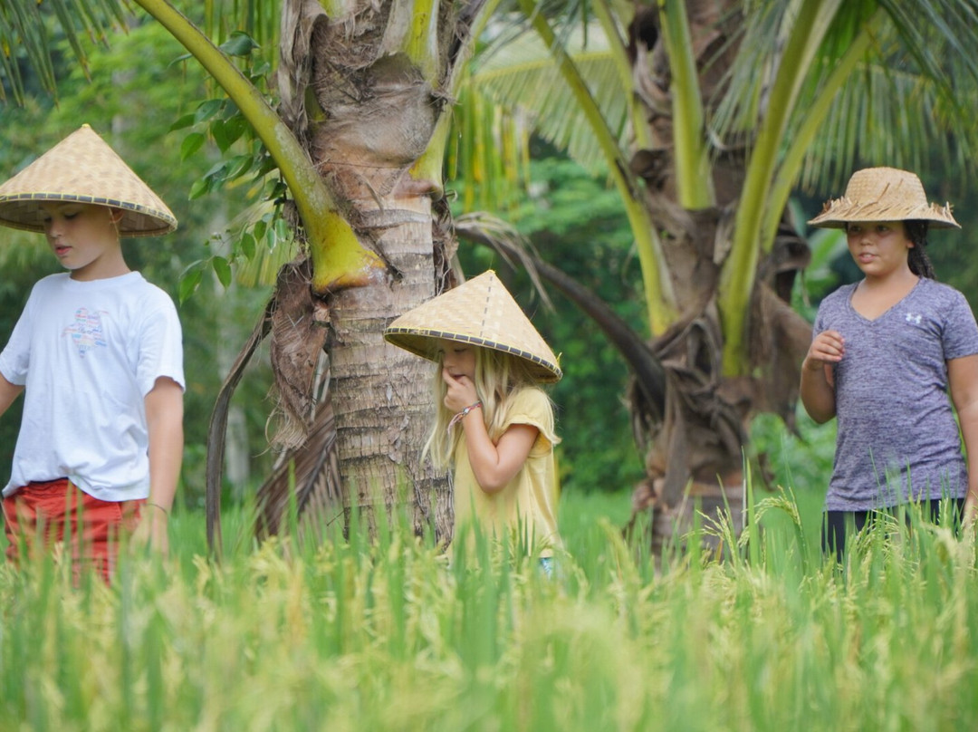 Bali Agritours景点图片