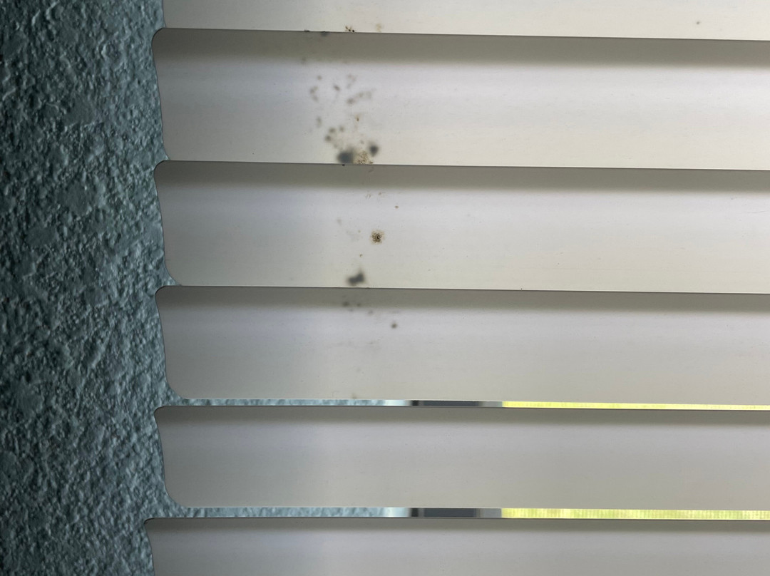 Baymont by Wyndham Creedmoor主图