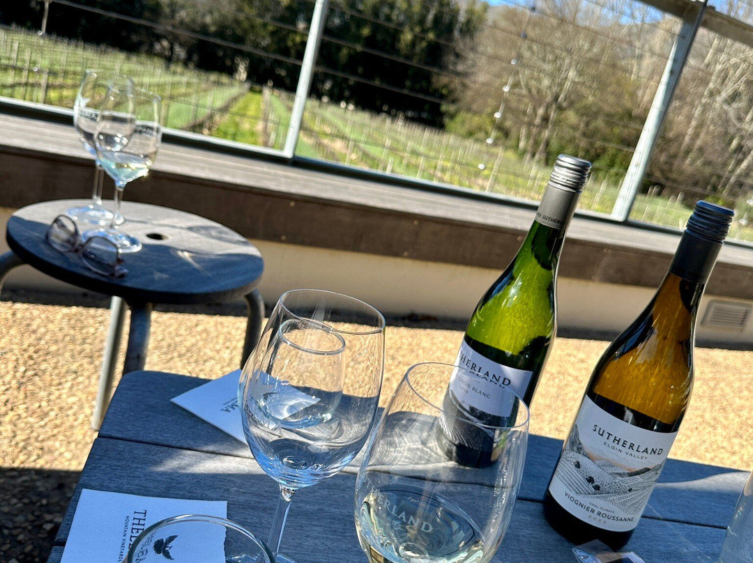 Thelema Mountain Vineyards-斯泰伦博斯必去景点