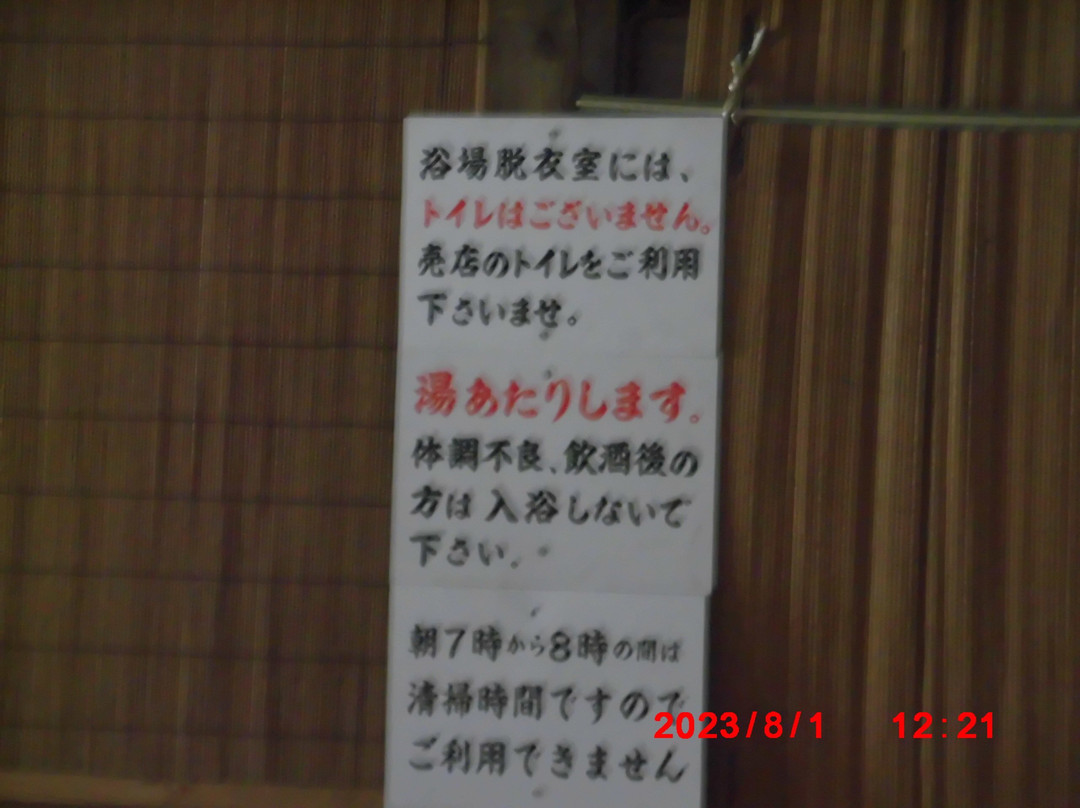 Toshichi-onsen Saiunso主图