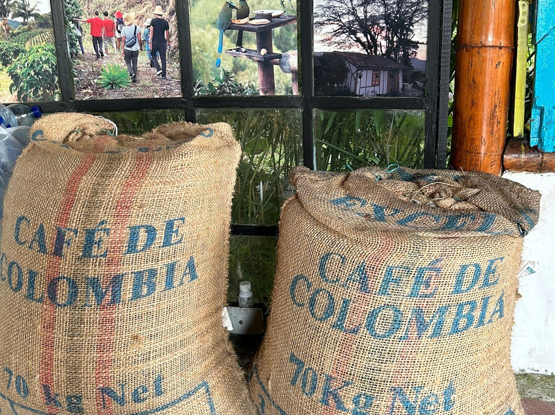 Hacienda Guayabal主图