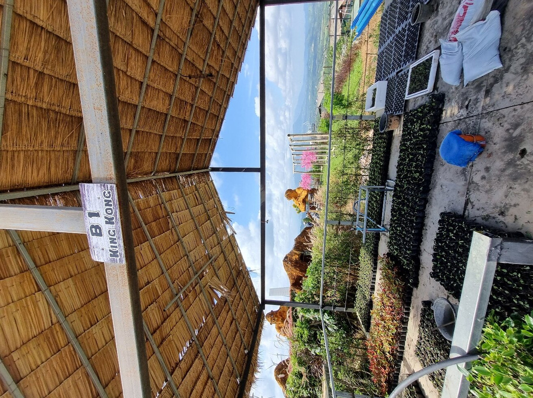 Khao Kho Wind Farm景点图片