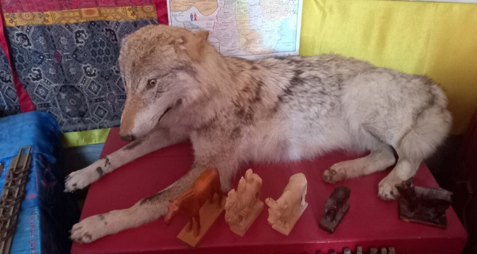 Museum of Oirat-Mongolian Nomad Culture-Elista必去景点