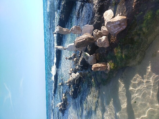 Sorgenti di Torre Vado