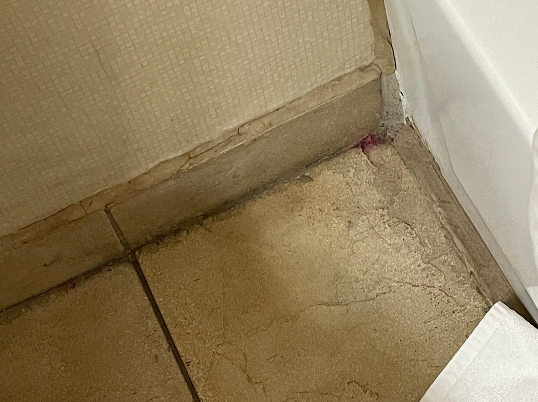 Comfort Suites主图