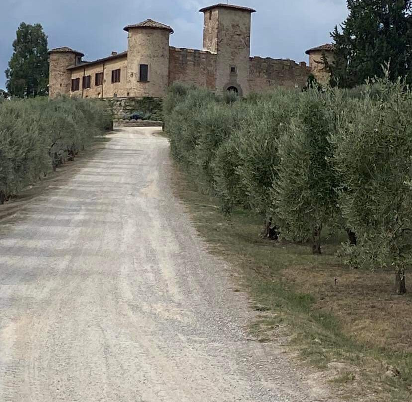 Castello di Gabbiano景点图片