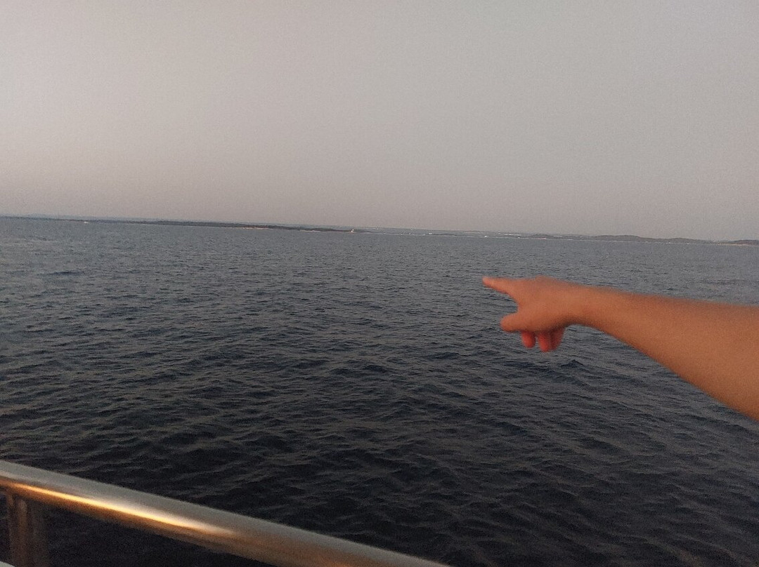 ARENA BOAT TOURS (Pula)-普拉必去景点