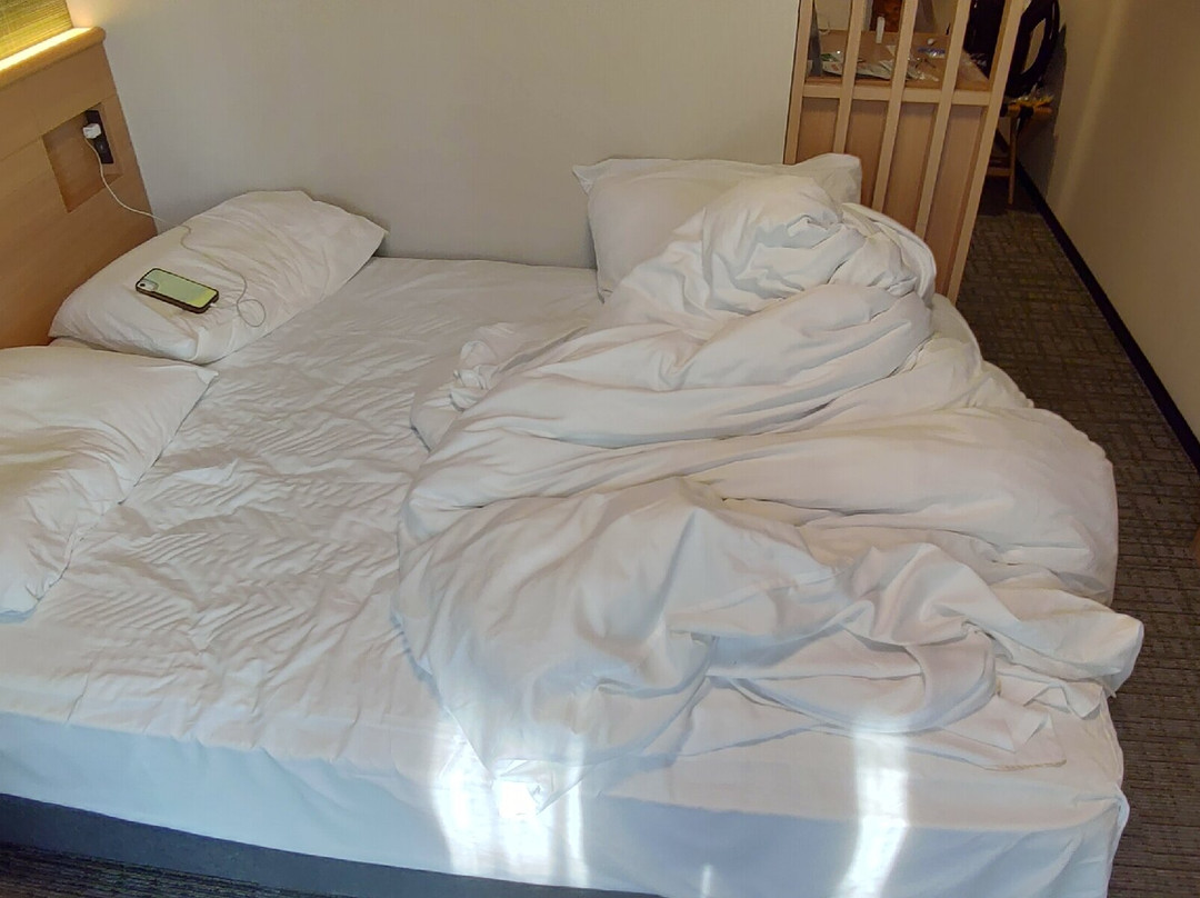 Richmond Hotel Himeji主图