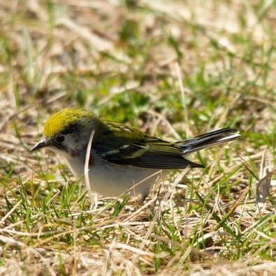 Penn Lake Park-Marathon必去景点