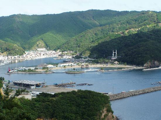 Nishiki Mukaigahama Youpark Tropical Garden景点图片