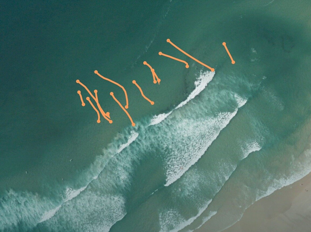 Pro Surf Coaching景点图片
