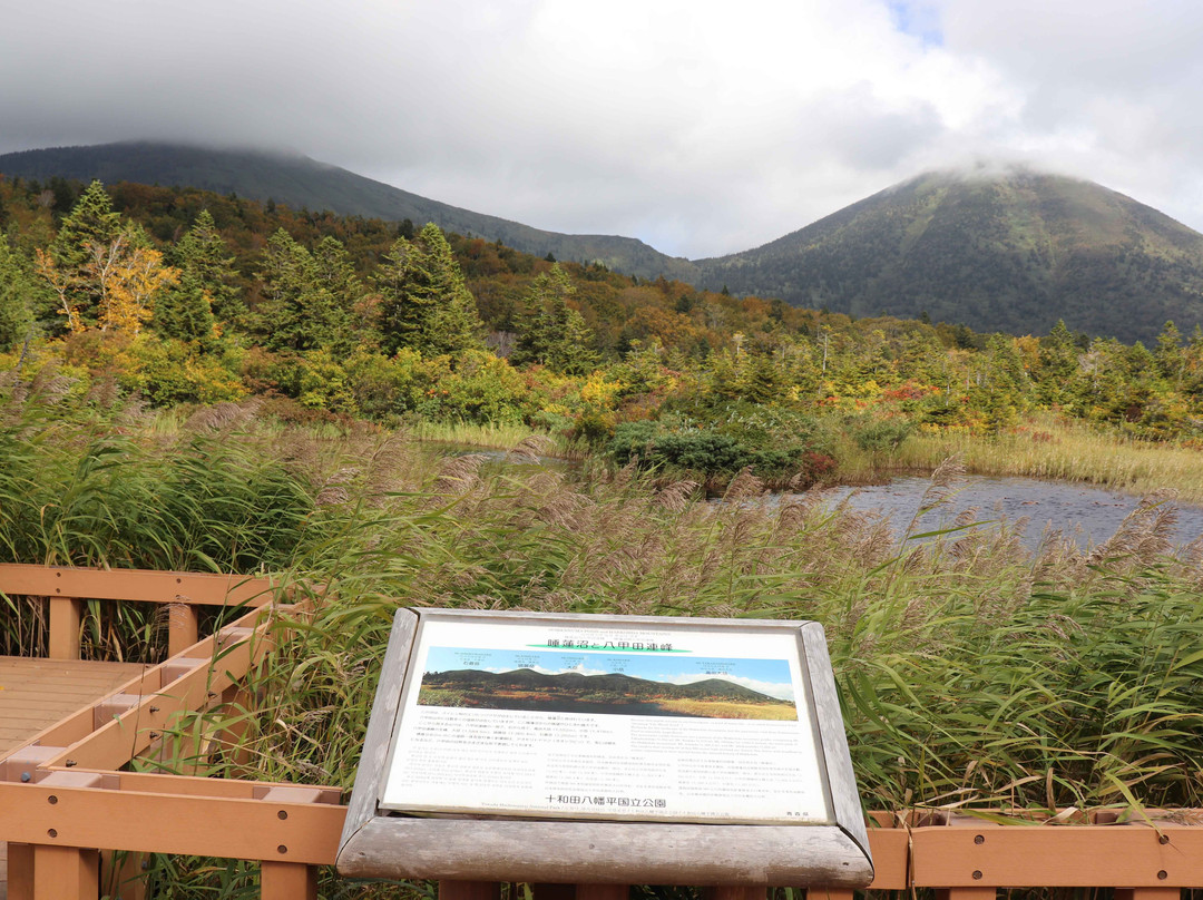 Suiren Pond-十和田市必去景点