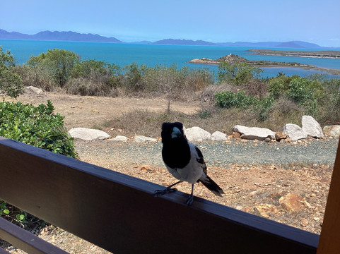 Flagstaff Hill Lookout-博恩必去景点