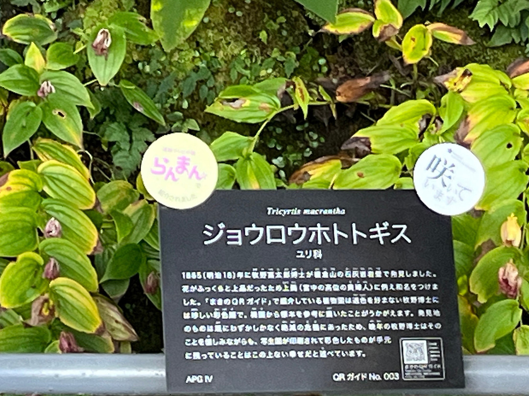 The Kochi Prefectural Makino Botanical Garden-高知市必去景点