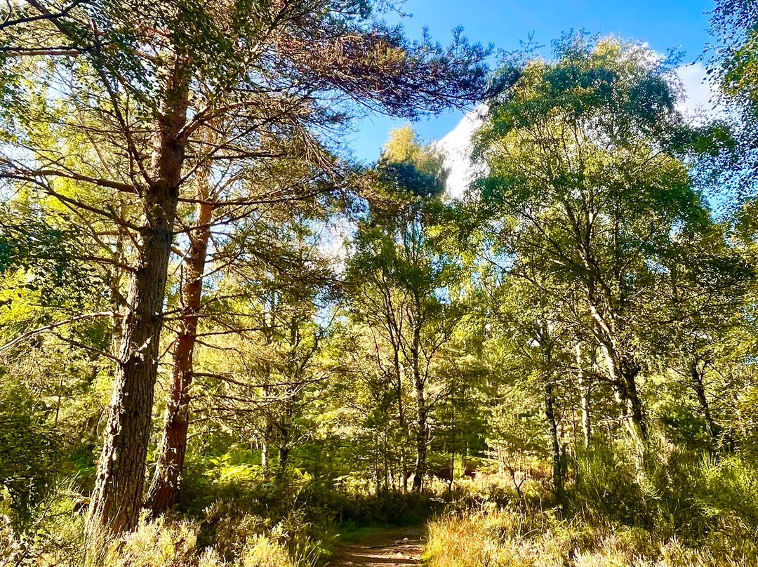Muir of Dinnet National Nature Reserve-Dinnet必去景点