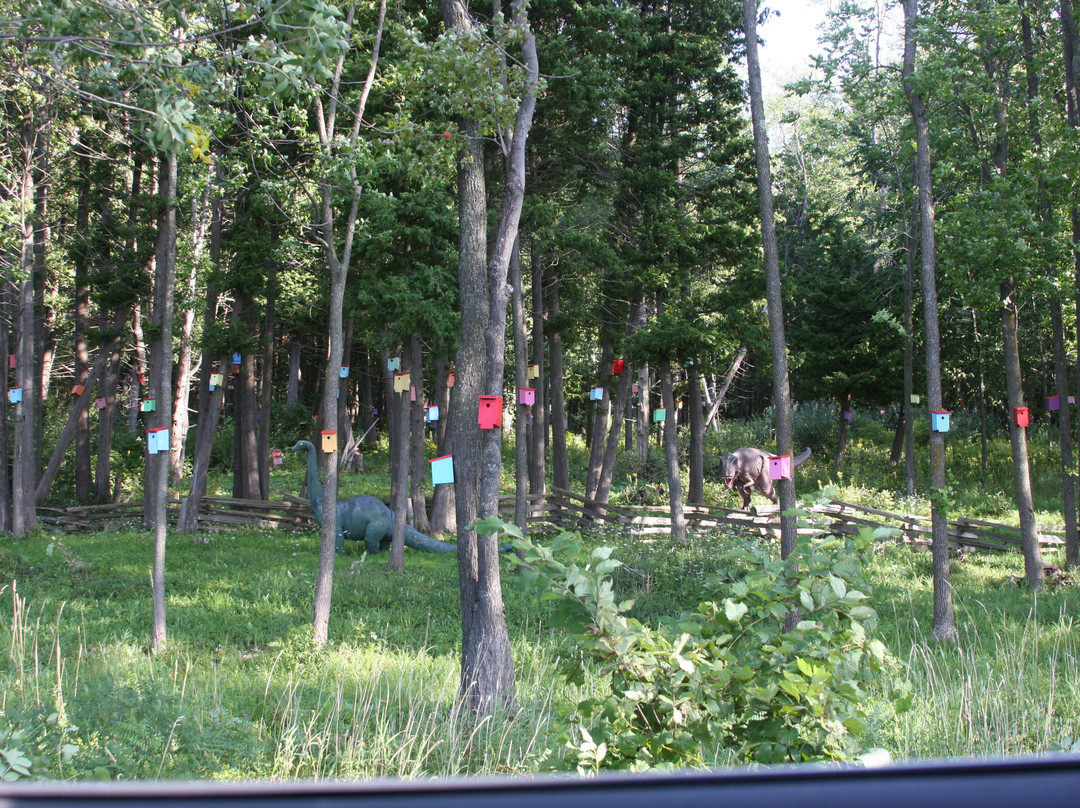 White's Beach-South Hero必去景点