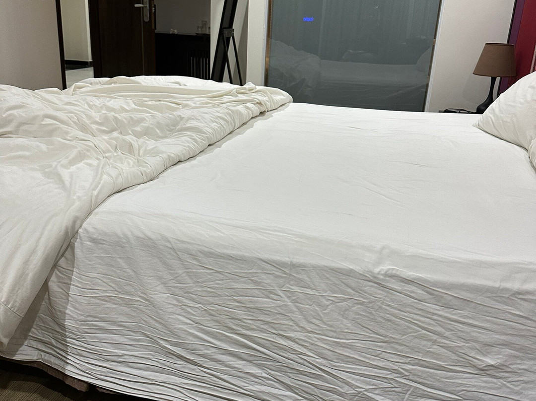 Max Boutique Hotel主图