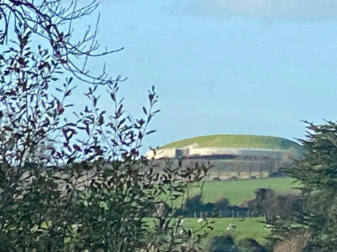 Newgrange Tours景点图片