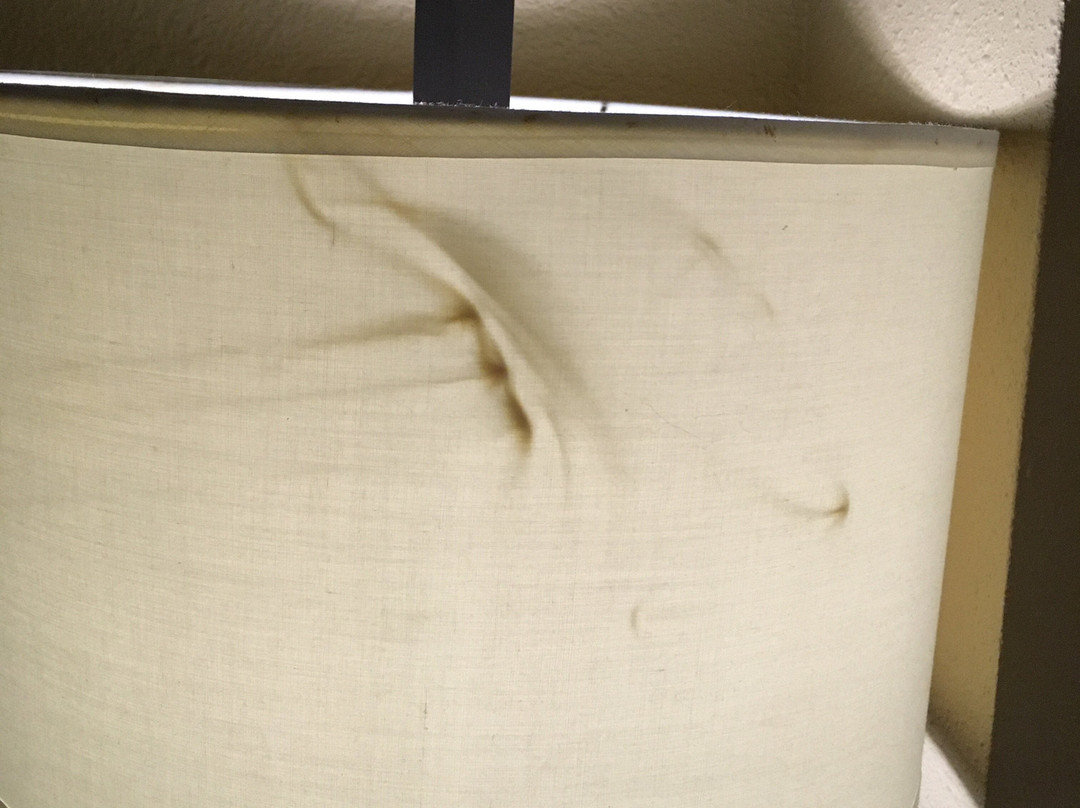 Comfort Suites at Isle of Palms Connector主图