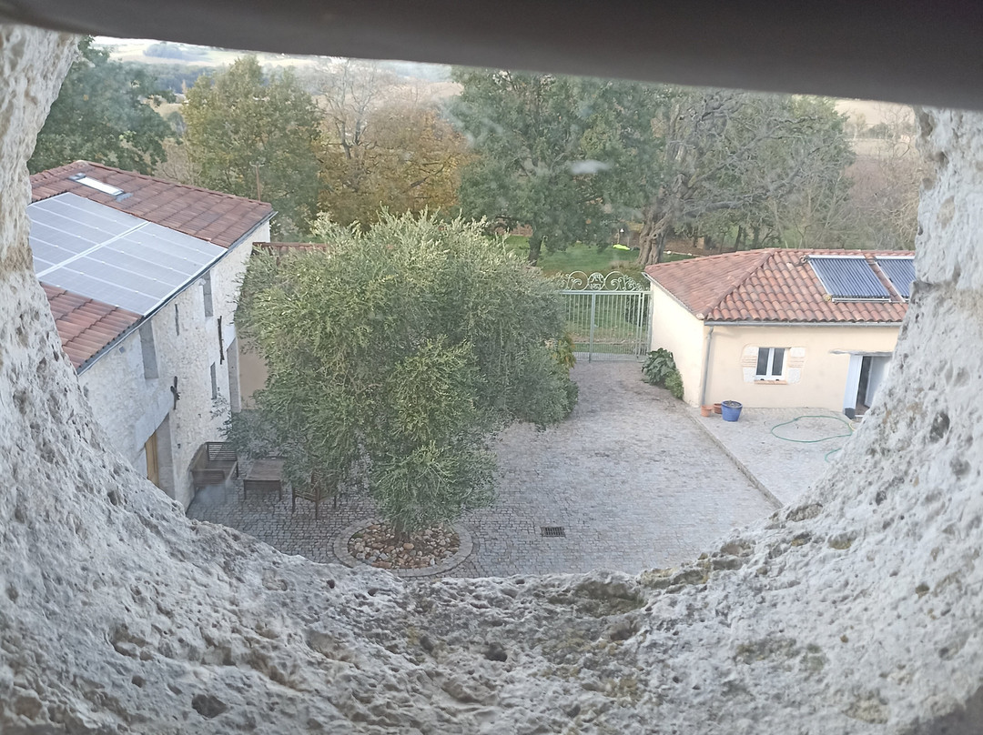 Domaine de Rateau主图