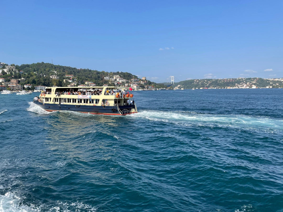 Istanbul Bosphorus Cruise-伊斯坦布尔必去景点