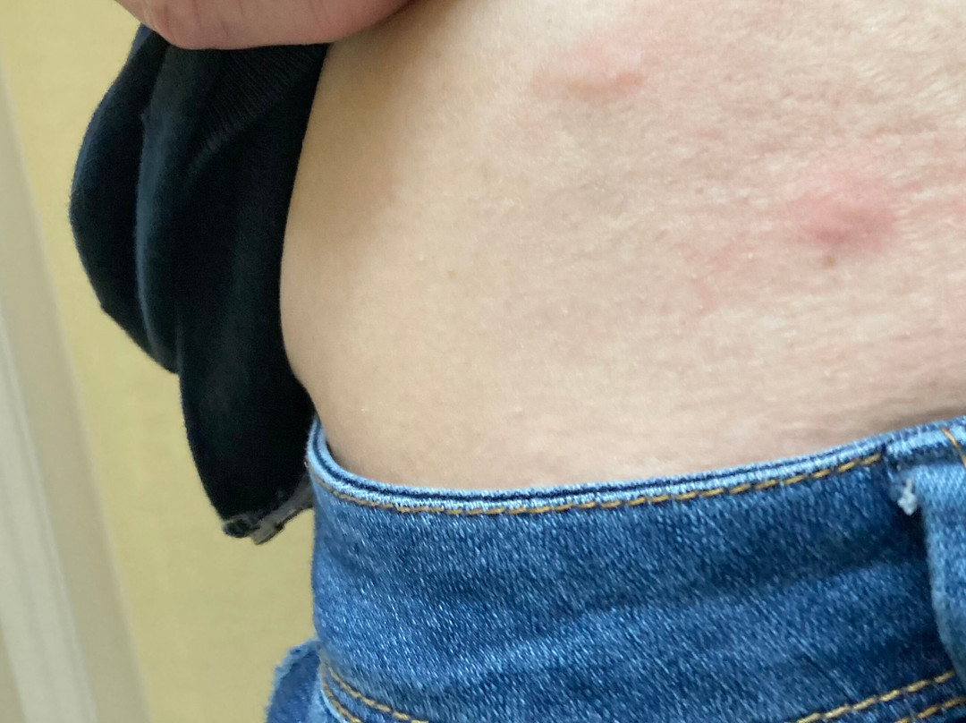 Quality Inn White Springs Suwanee主图