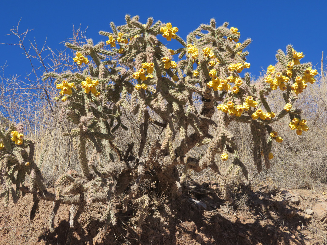 Coronado National Memorial景点图片