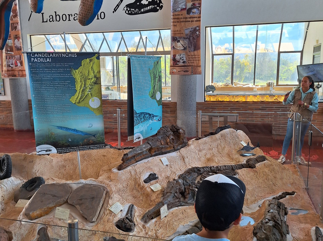 Centro de Investigaciones Paleontologicas - CIP景点图片