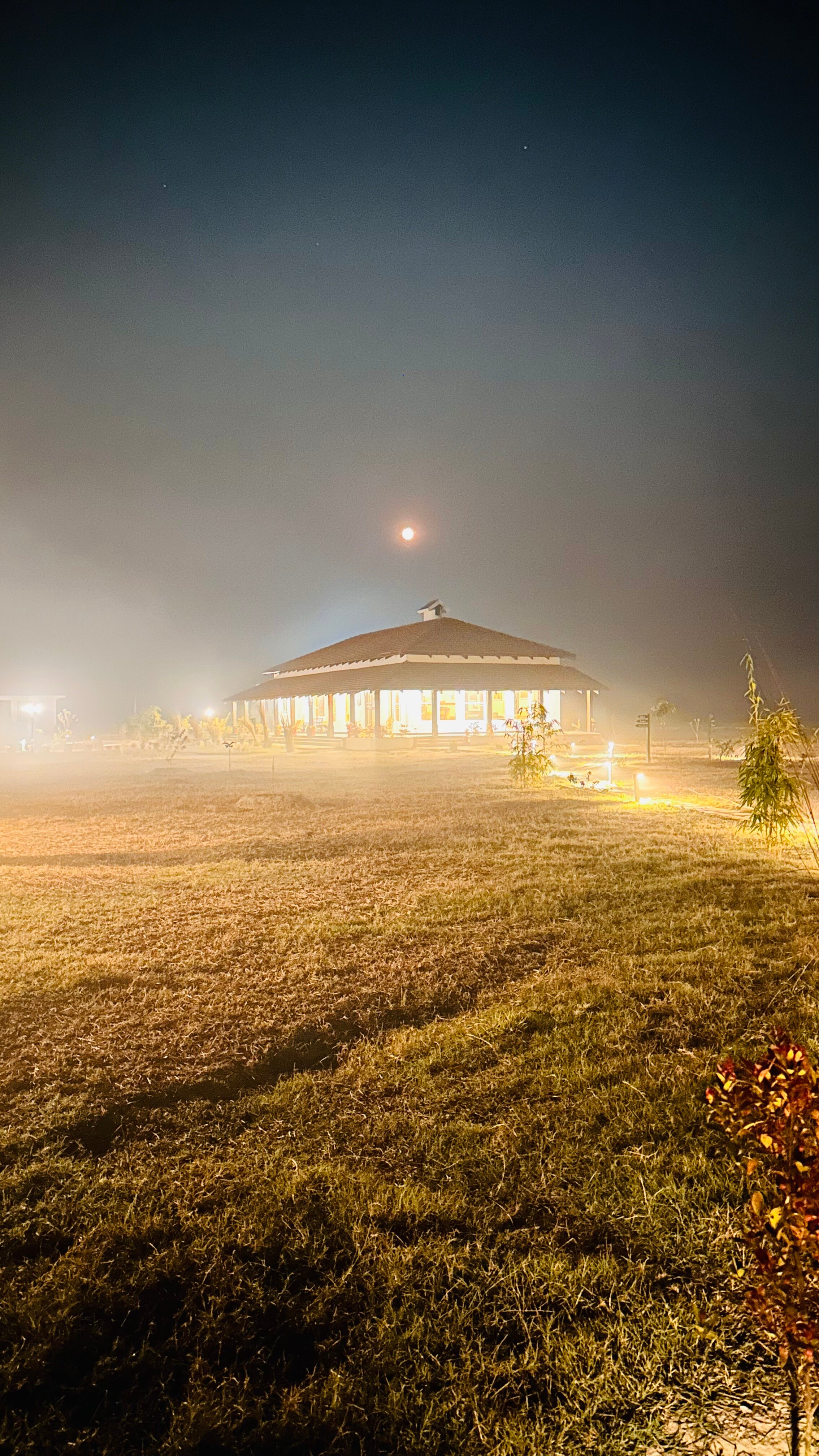 Camp TigerLily-官方