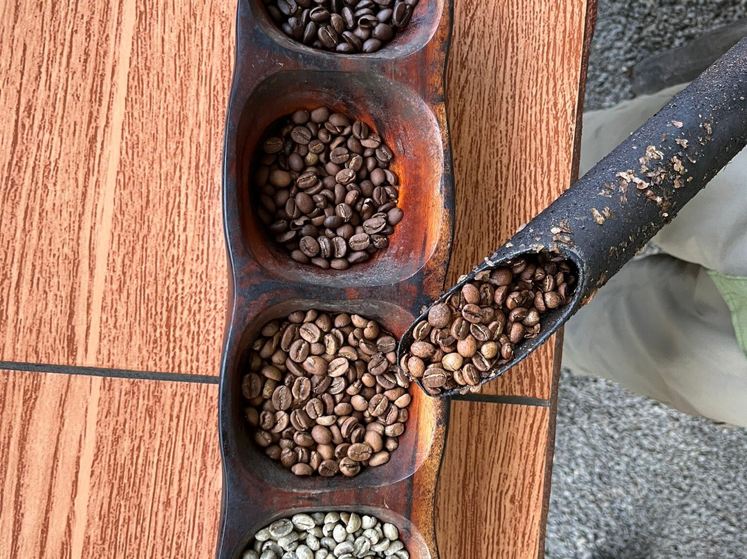 North Fields Coffee And Chocolate Tours景点图片