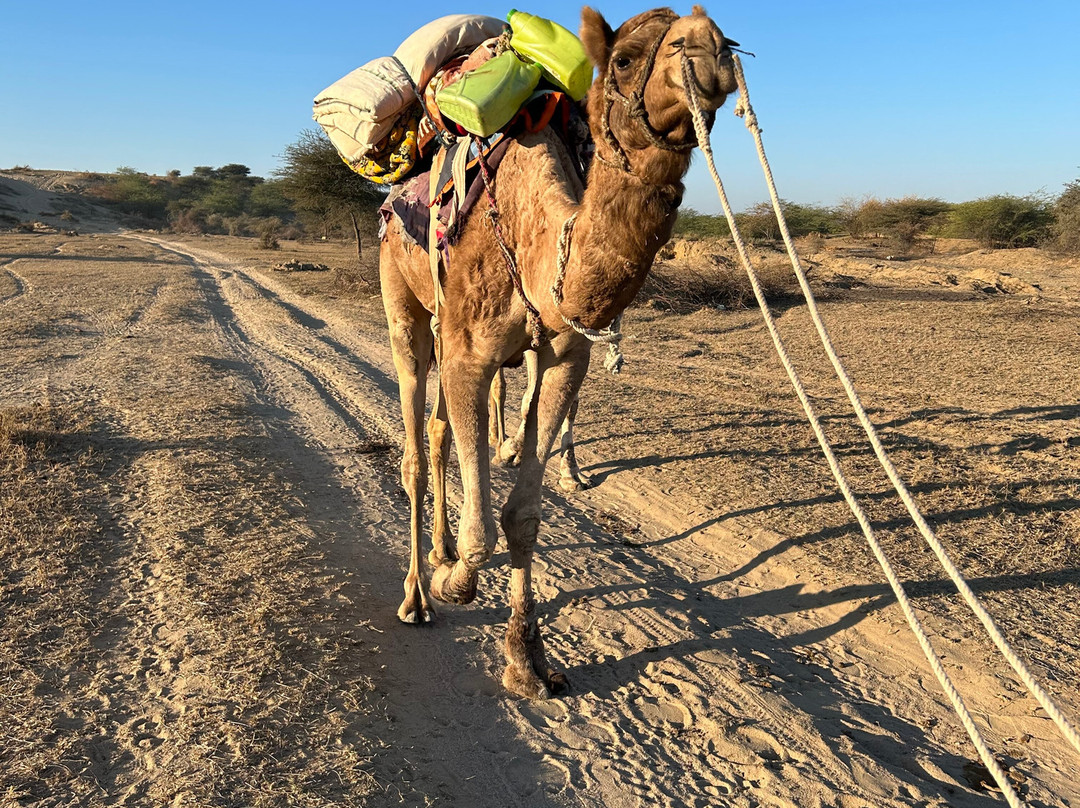 Arjun Family Guest House主图