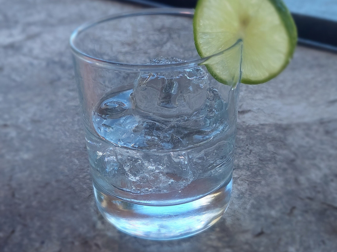 Hotel Atotonilco El Viejo主图