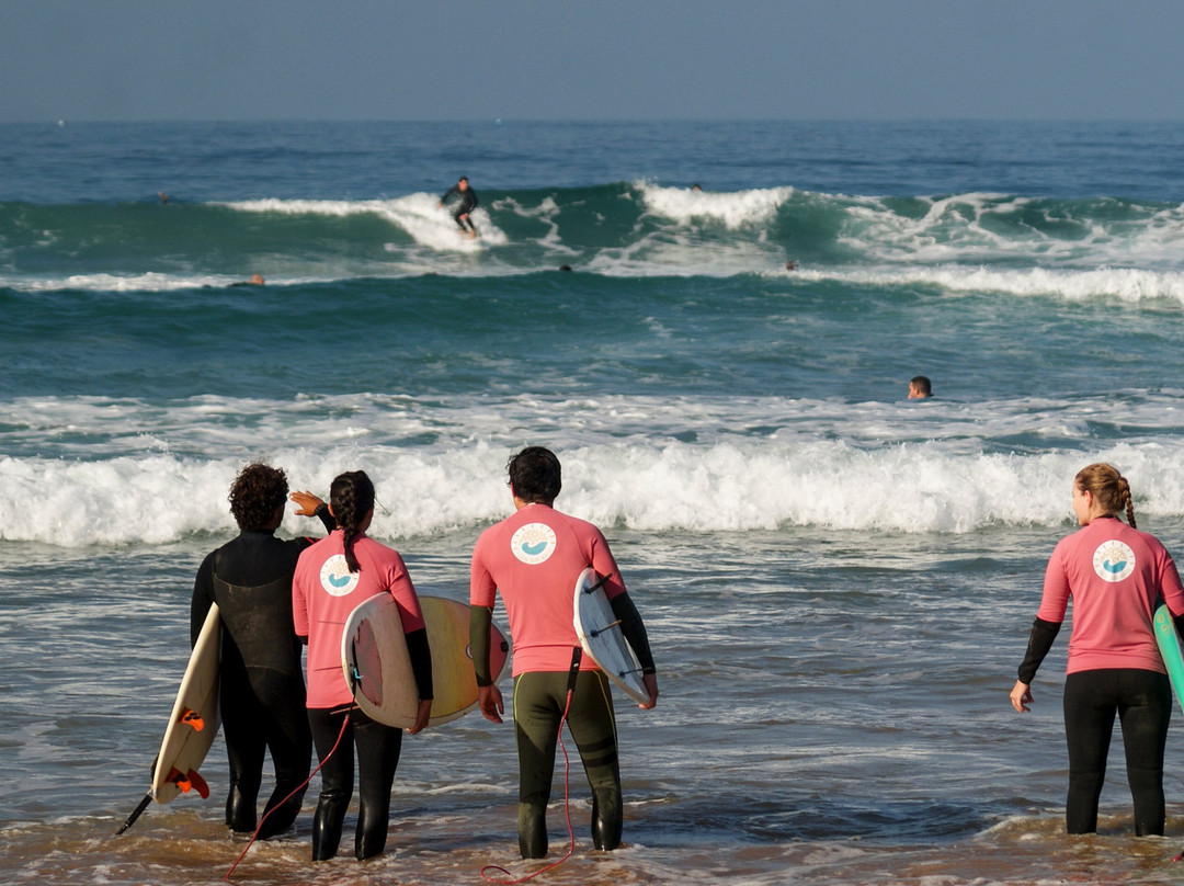 Local Surf Maroc