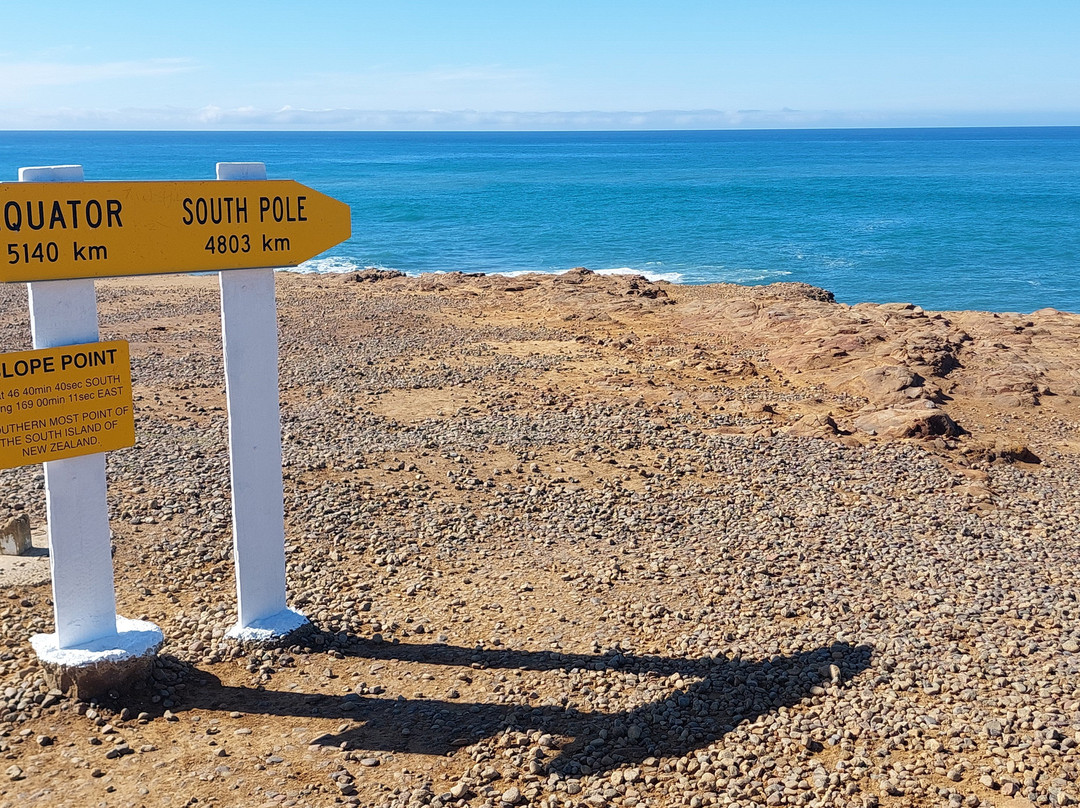 Detour-奥克兰必去景点