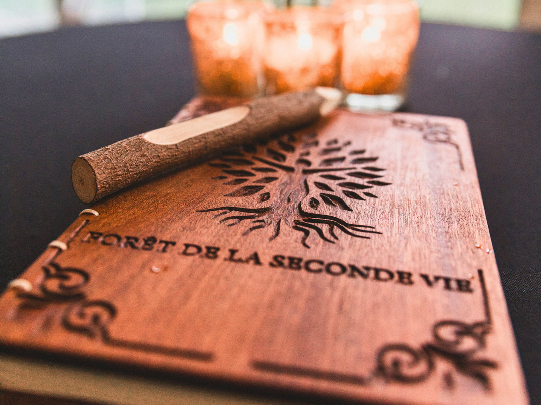 Forêt de la Seconde Vie-Sainte-Sophie必去景点