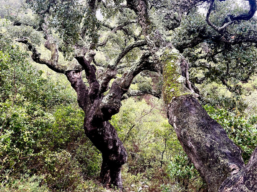 PerNatur - Nature Trails景点图片