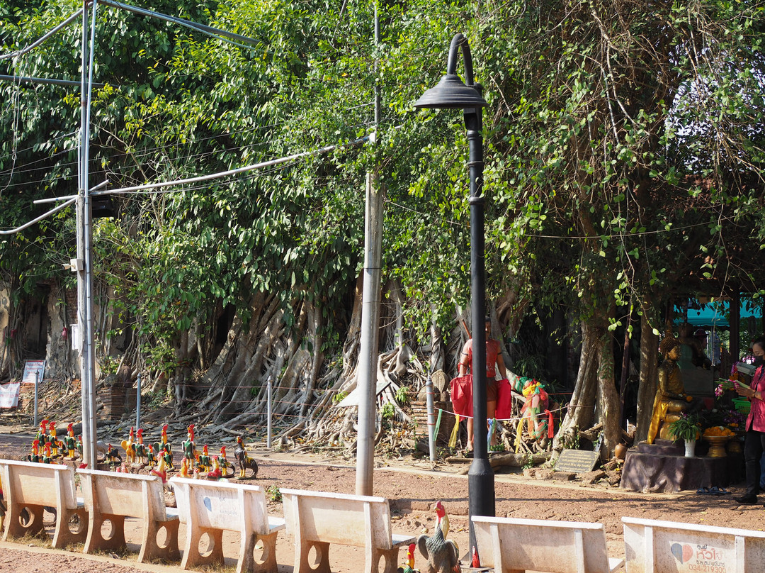 Wat Bang Kung-挽坤弟必去景点