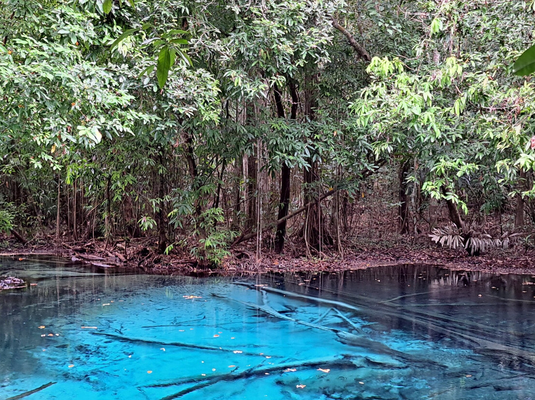 Blue Pool Krabi景点图片