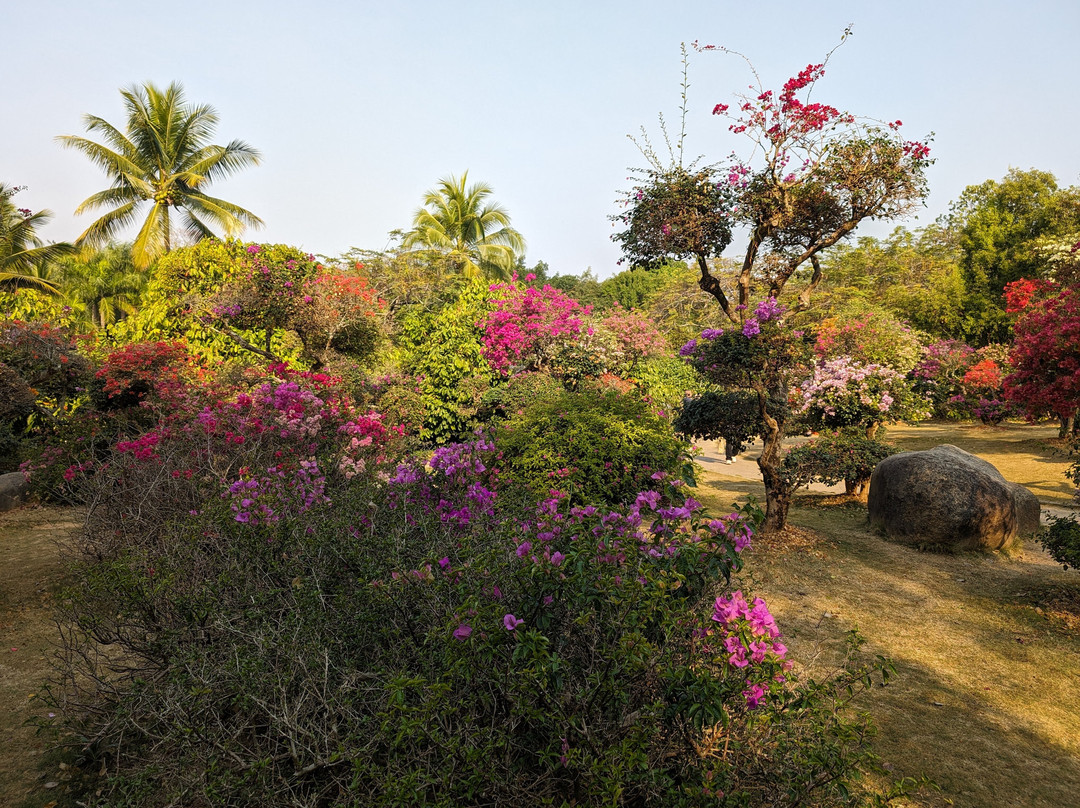 热带花卉园景点图片