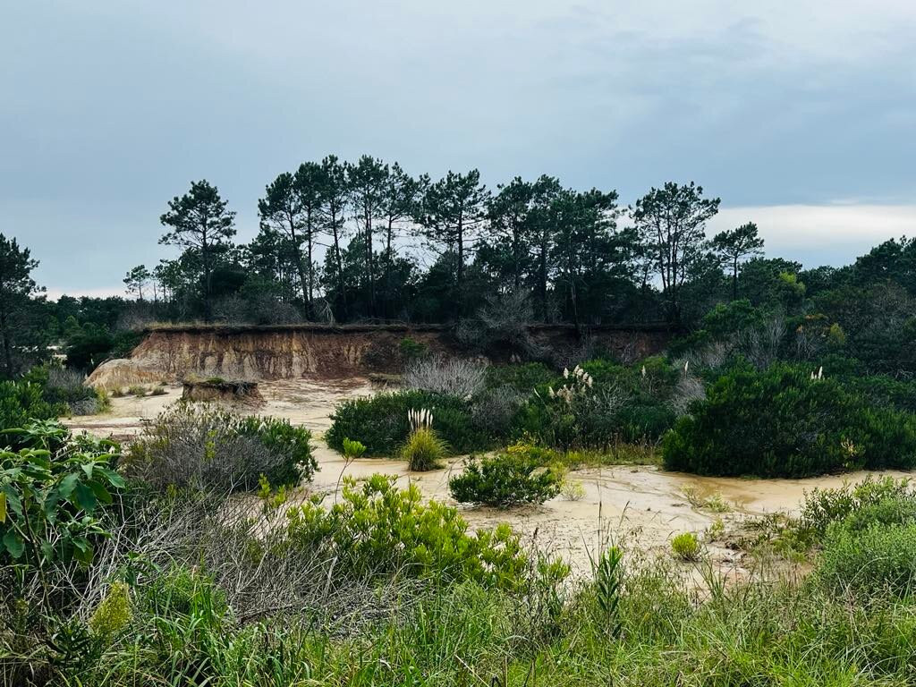 Valle De La Luna-Rocha必去景点