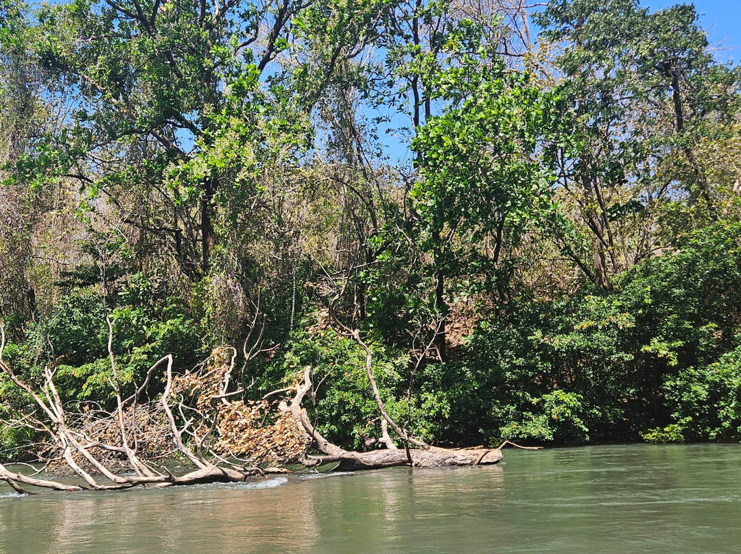 Rincón Corobicí River Float景点图片