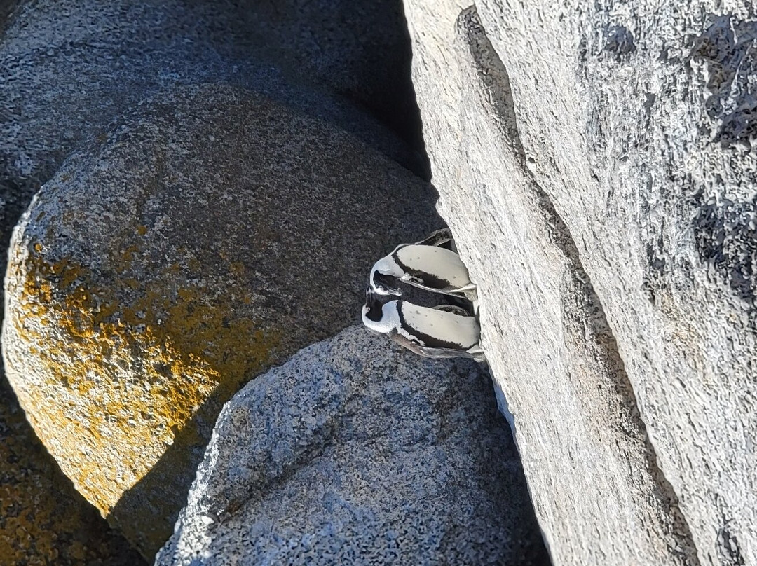 卡迈克尔宾馆主图