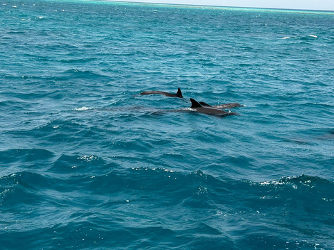 Erlebnisreisen durch Ägypten