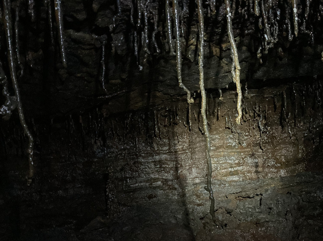 Kazumura Cave Tours景点图片