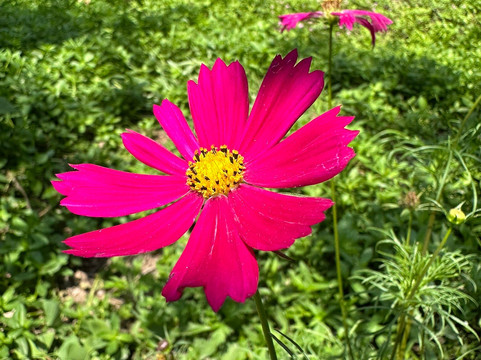 共青森林公园-上海市必去景点