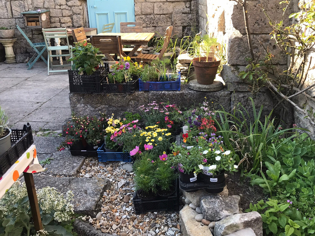 Chiswell Walled Garden-Fortuneswell必去景点