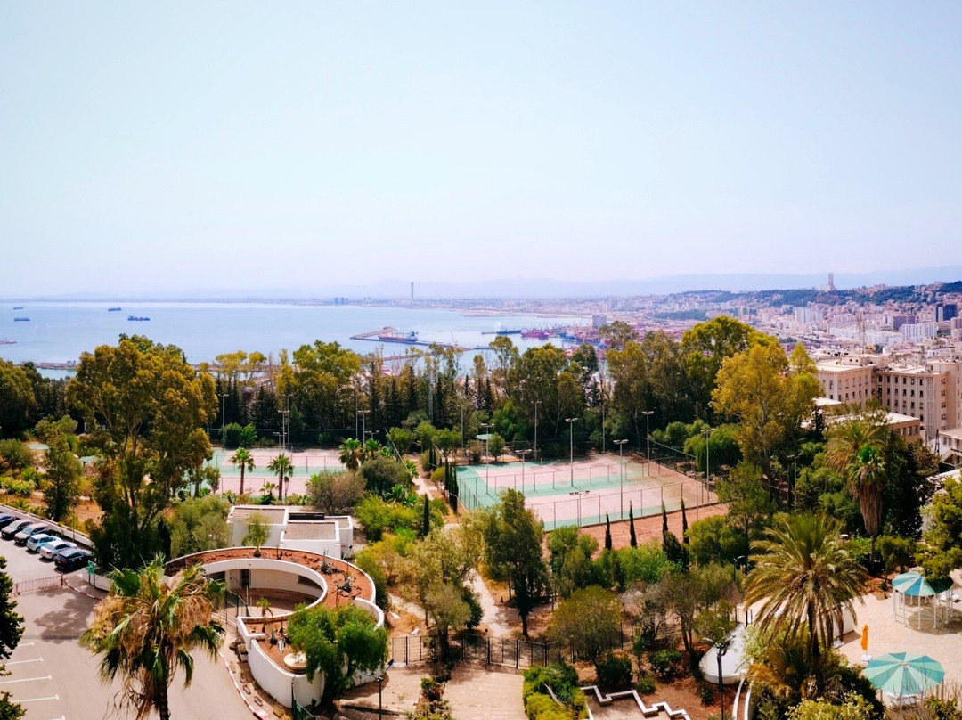 El Aurassi Hotel主图